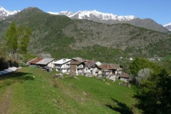 crosetto