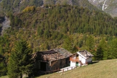 filharia