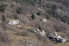forengo_saretti
