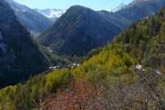 mediavg