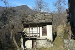 particolareaGrasso2