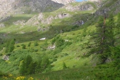 puntacaprarodoretto