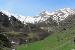 rodoretto2