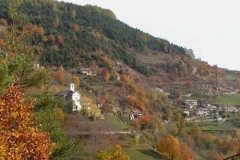 sanmartino
