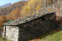 tralevigne