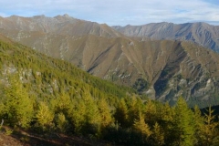 vrodoretto