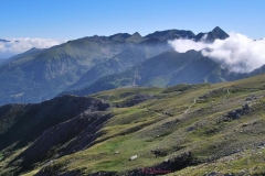 zonaGuglia