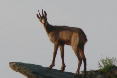 p1000231m