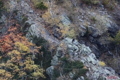 tavolozza