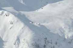 alpecolletto