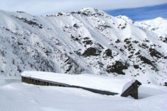 grangiungianni