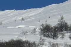 pralacomba